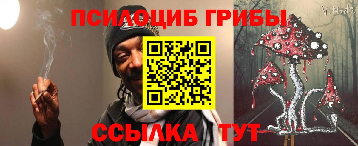 Псилоцибиновые грибы Psilocybe Назарово